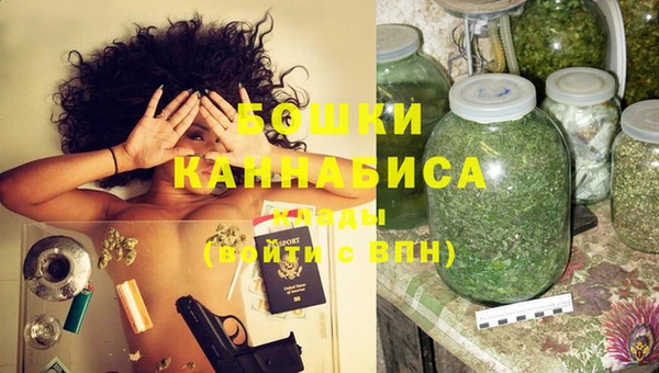 прущие грибы Мегион