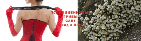 трава Барнаул