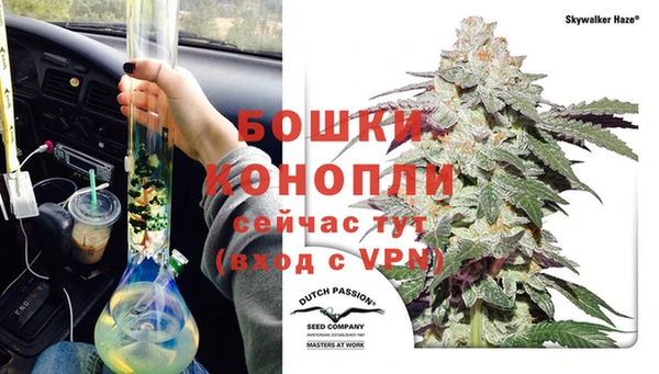 прущие грибы Мегион