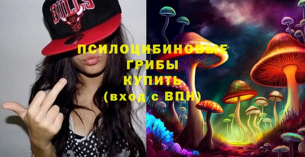 дурь Михайлов