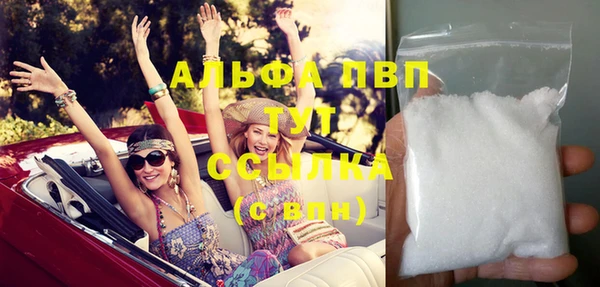 прущие грибы Мегион